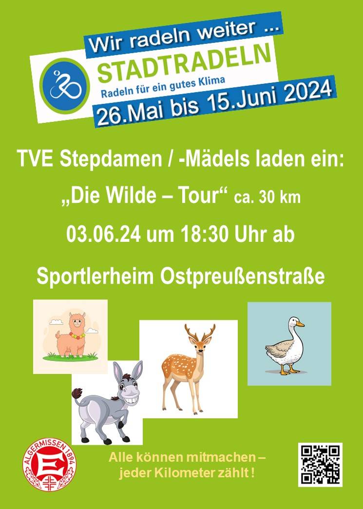stadtradeln-2024-step-aerobic